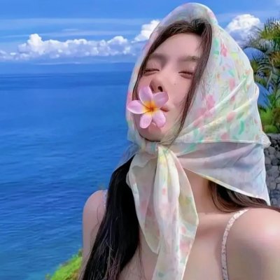 飞行员呆呆鸟